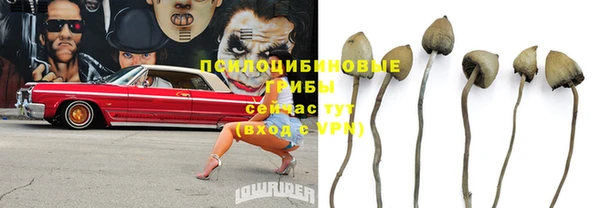 соль курить ск Нея