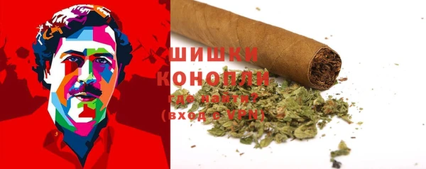 ПСИЛОЦИБИНОВЫЕ ГРИБЫ Нефтегорск