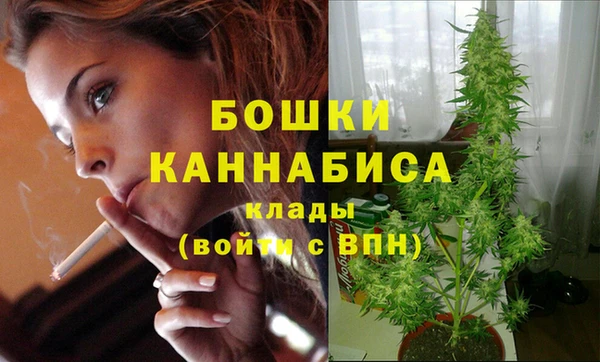 соль курить ск Нея