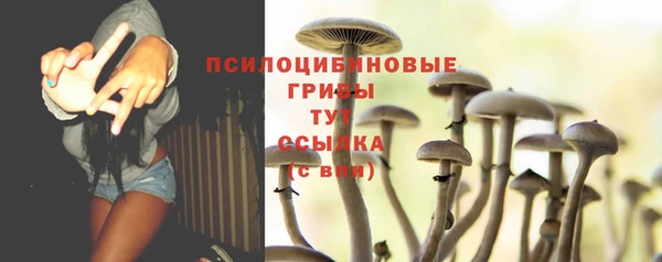 соль курить ск Нея