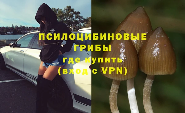 соль курить ск Нея