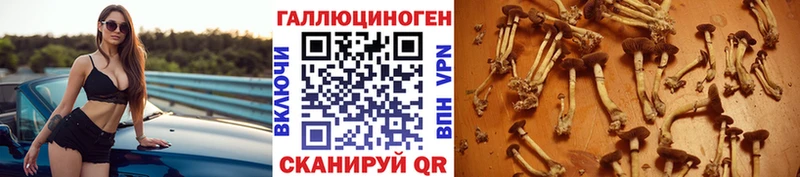 Галлюциногенные грибы MAGIC MUSHROOMS Ангарск